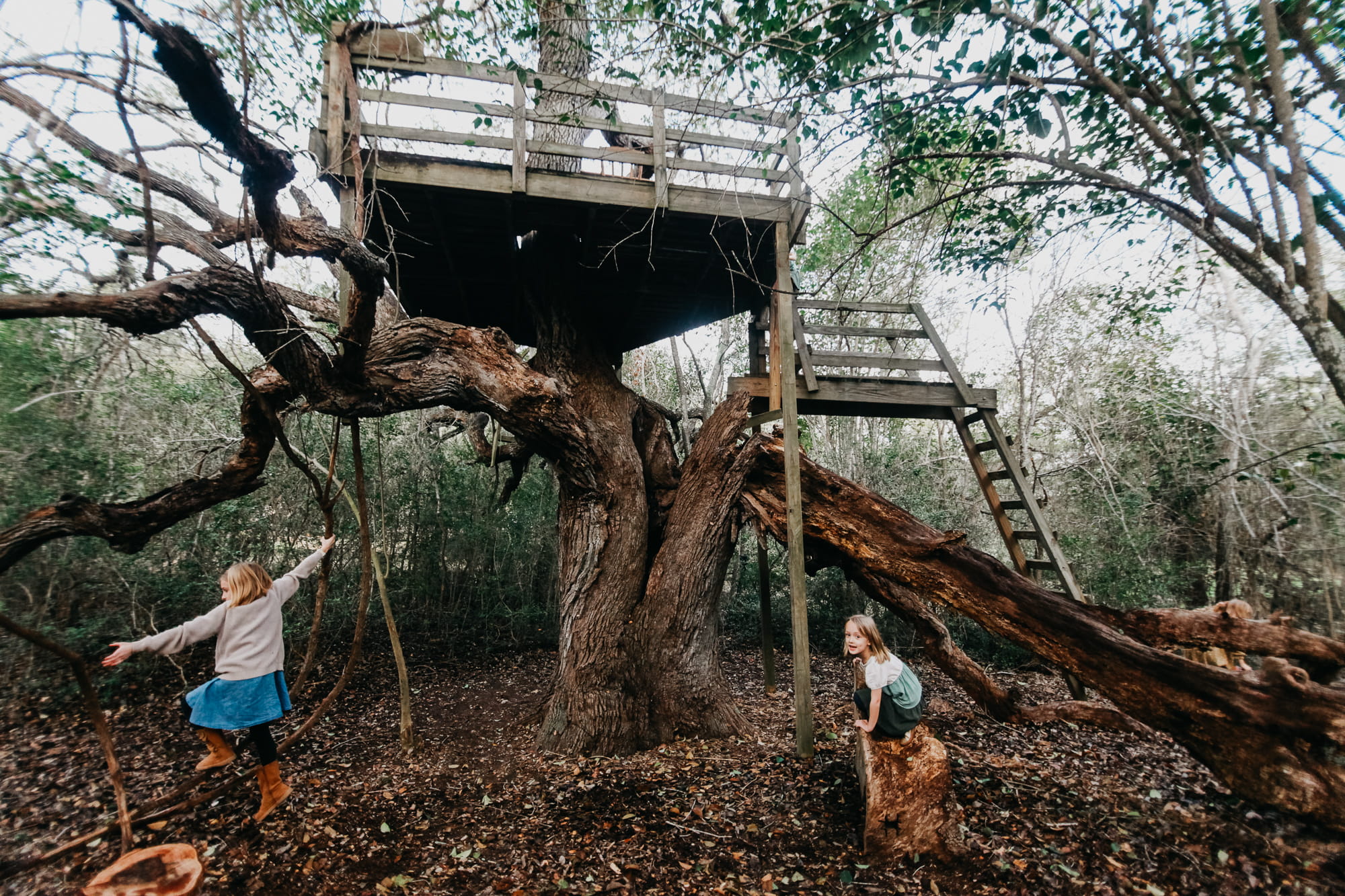2 Children playing at their treehouse
